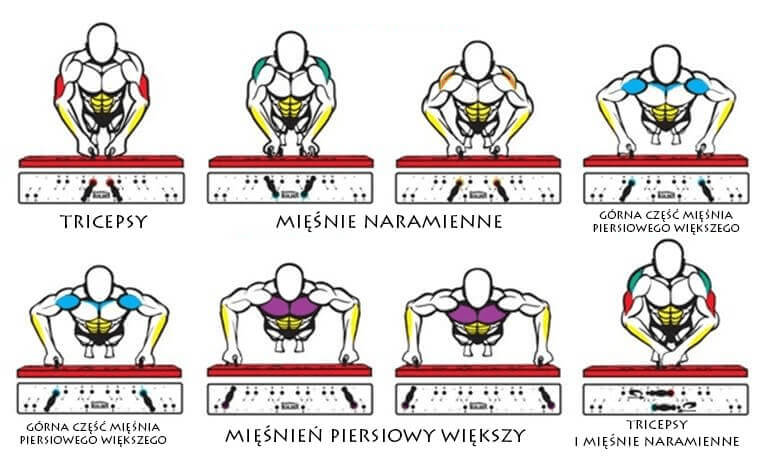 Ćwiczenia na klatkę piersiową w domu (bez sprzętu)